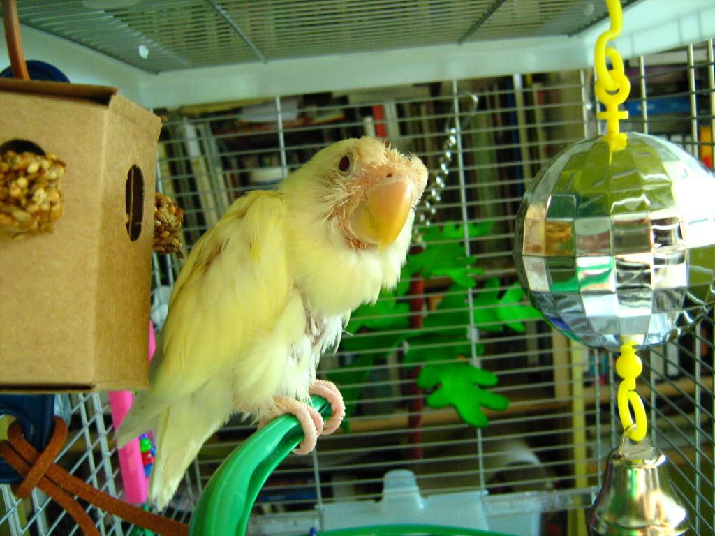 igor001006.jpg