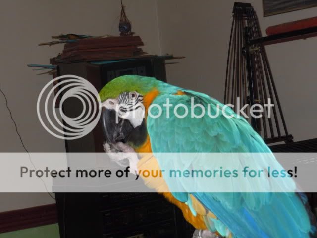 DSCN2182.jpg