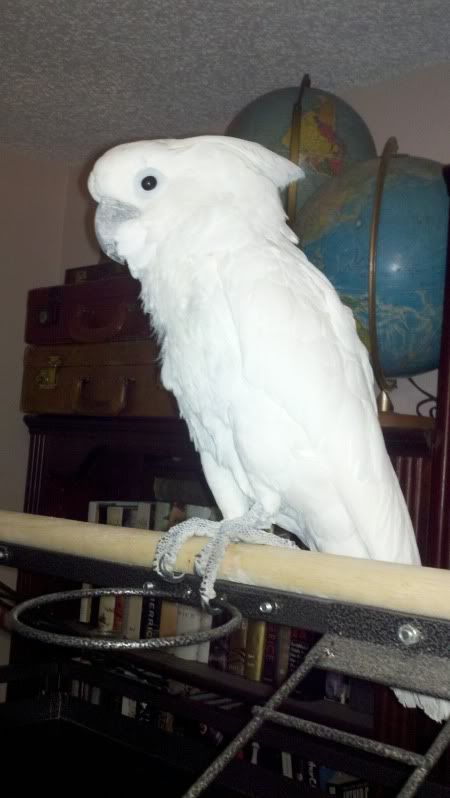 2012-01-14_00-06-16_220.jpg