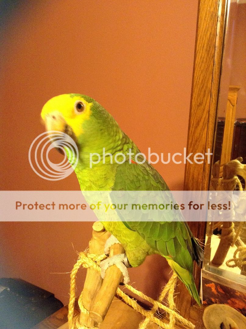 image.jpg3_5.jpg