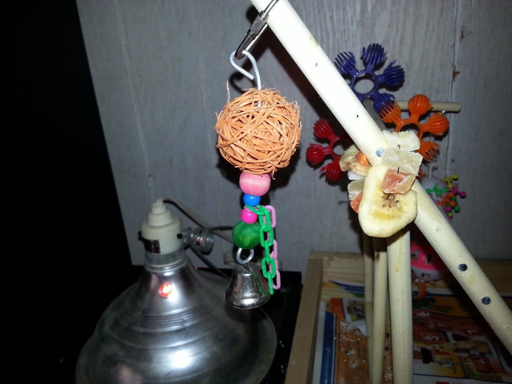 20131109_155312_zpsae587838.jpg