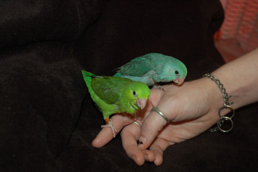 DSC_0024.jpg