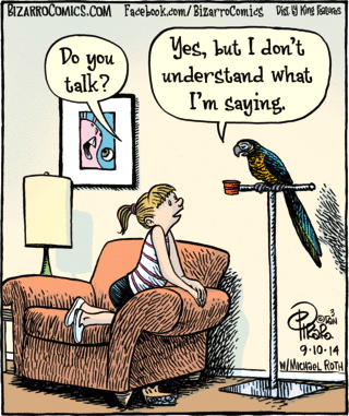 BizarroParrot2.jpg