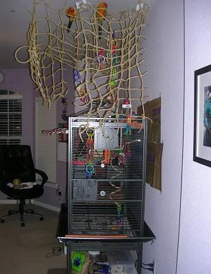 newsetup2.jpg