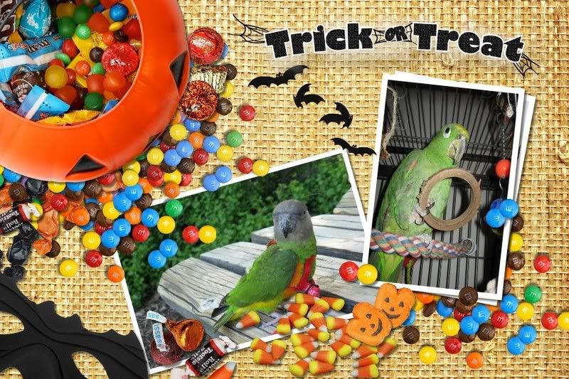 halloween_Page_0.jpg