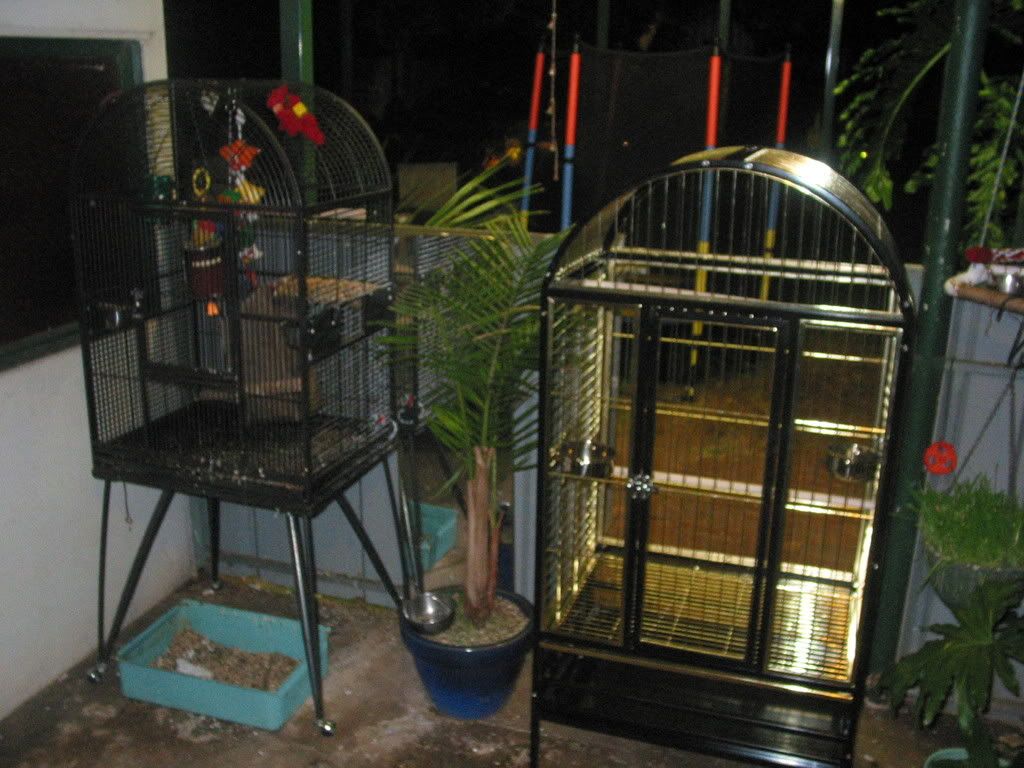 dogsandbirdcages022.jpg
