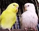 IMG_0613b2.jpg