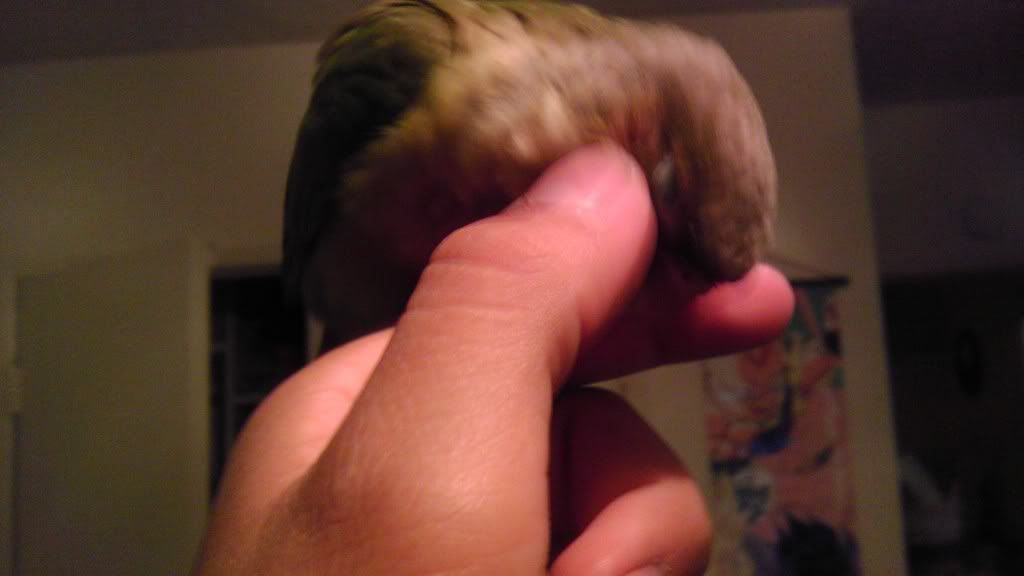 IMAG0432.jpg