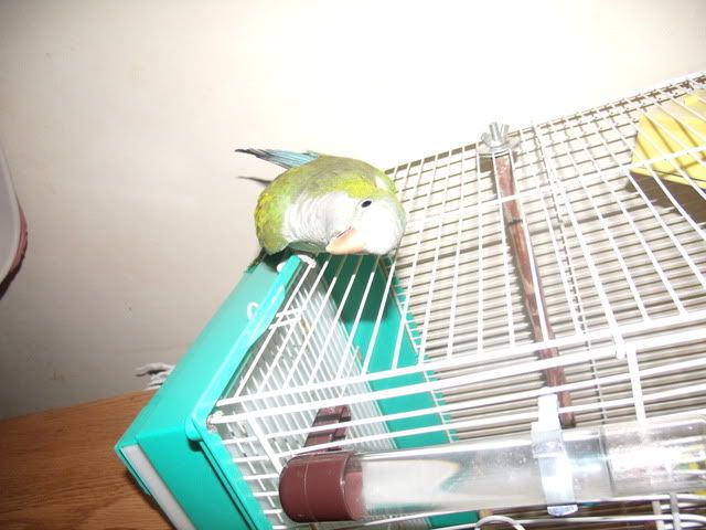 TuckandMaebell024.jpg