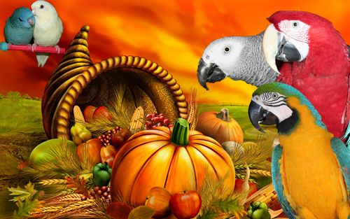 Thanksignature_zps6484fcbc.jpg