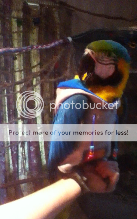 Screenshot2013-04-11at44838PM_zps3b3a4efe.png
