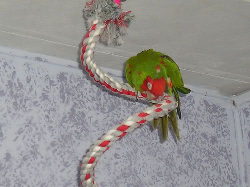 NoelSleep.jpg