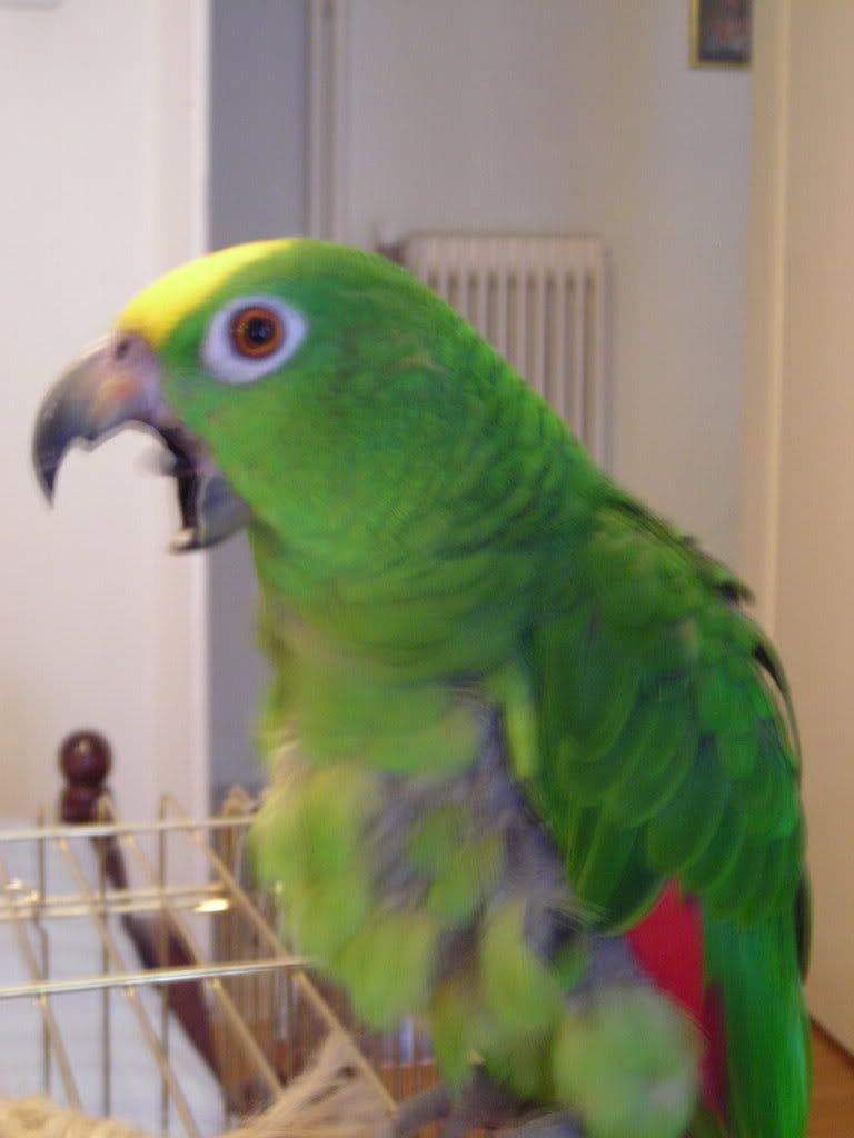 DSCN0393.jpg