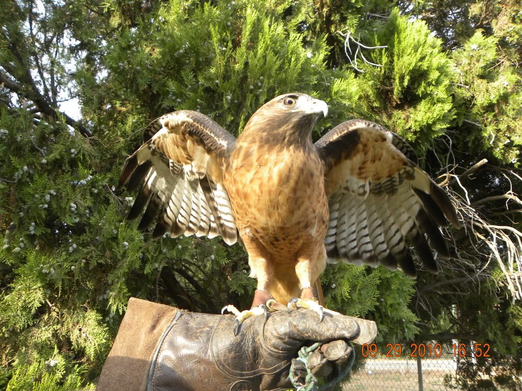 DSCN3008.jpg