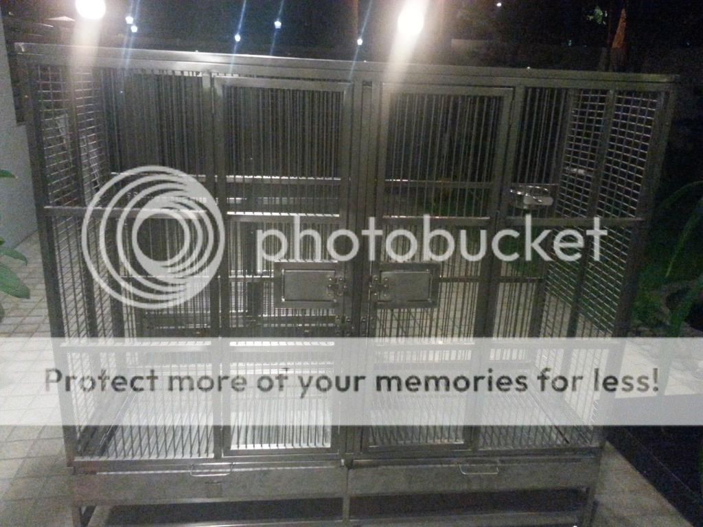 20140724_203400_zpsc0c2fd66.jpg