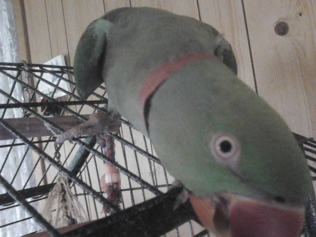 2013-03-22134018_zps4d157a1a.jpg