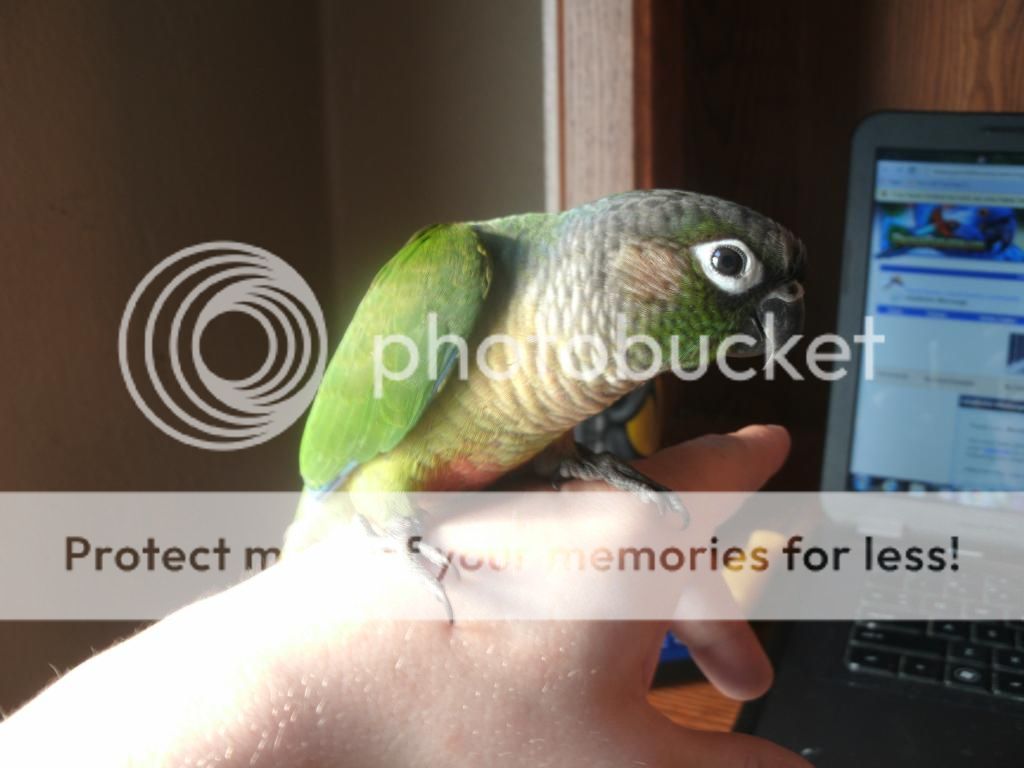 GEDC0007_zps93h2plnw.jpg~original