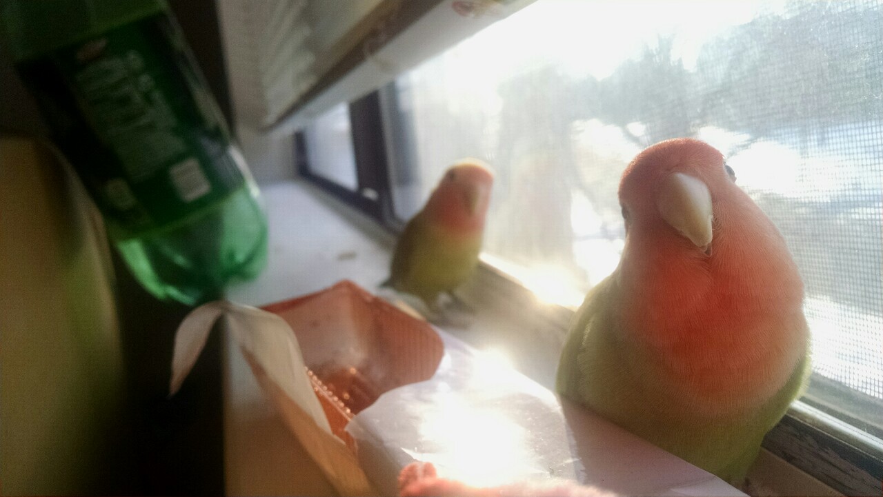 tumblr_nkug9hvS881rabsv4o1_1280.jpg