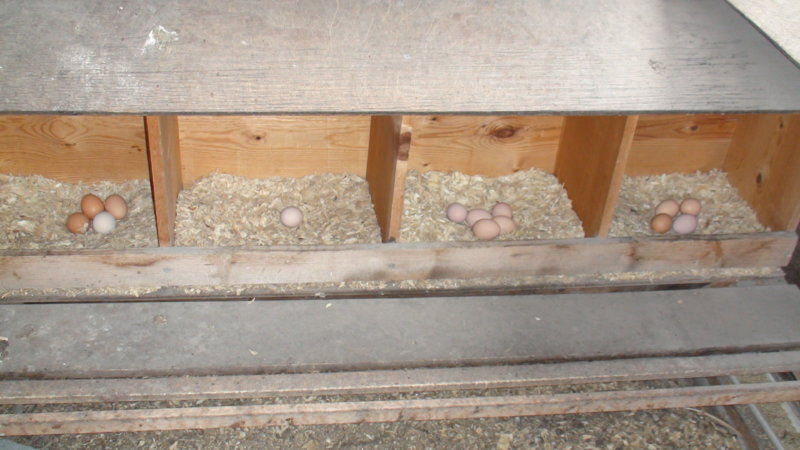 dsc01590-jpg.18885