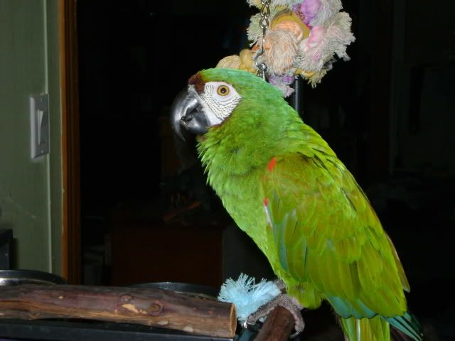 DSC00258.jpg