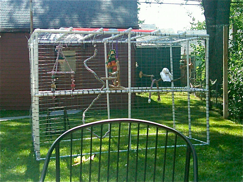 img00636-20100701-1618.jpg