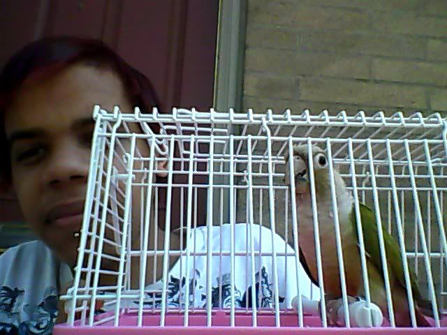 Snapshot_20120415_4.jpg