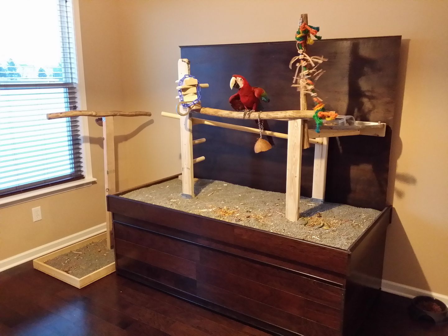 20131209_172046_zpsfe492067.jpg