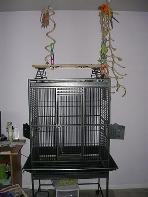 cage_new3.jpg