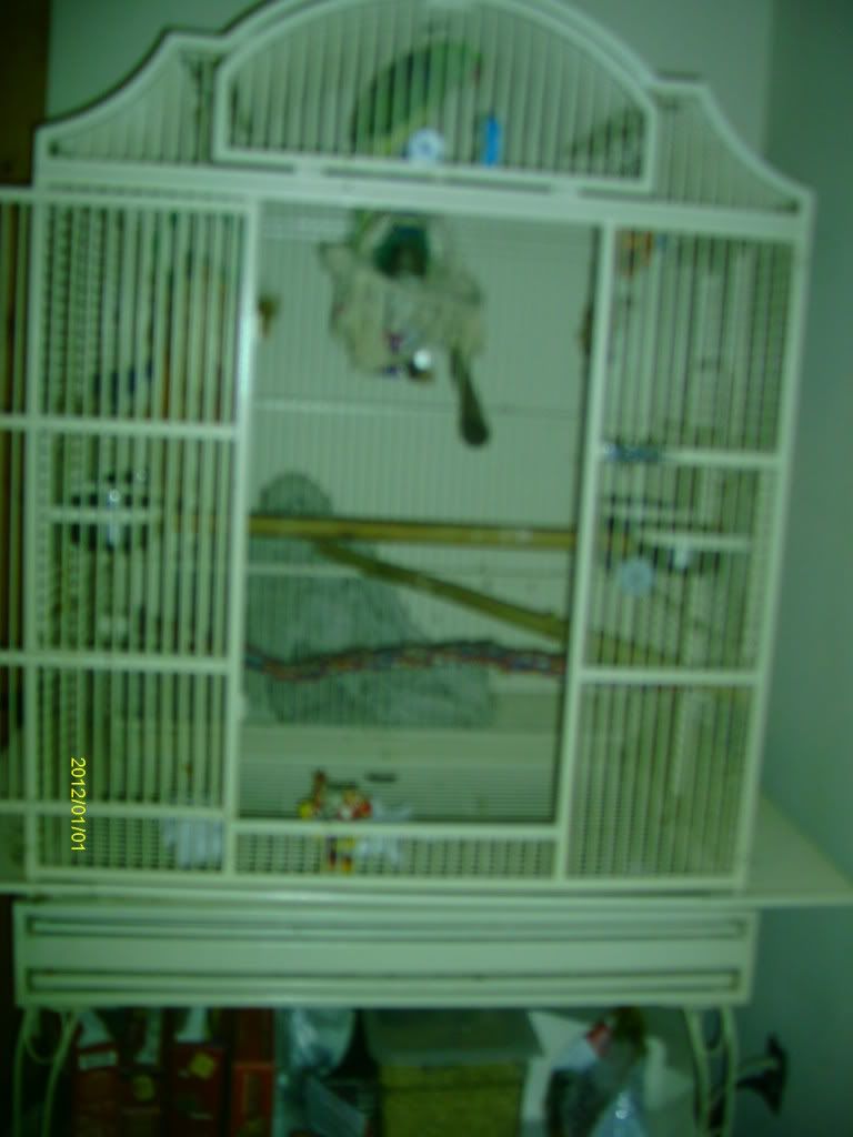 IMAG2003.jpg