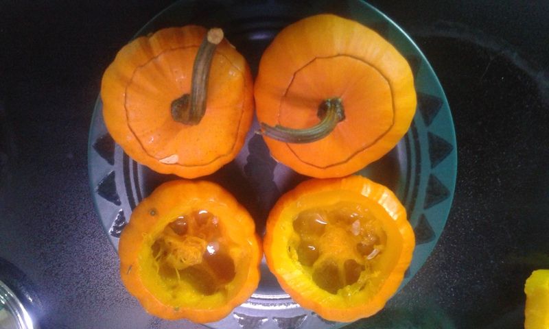 20150913_125809.jpg