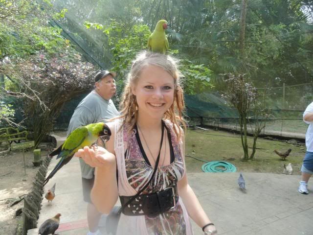 112.jpg