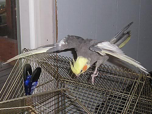 ee8023b2.jpg