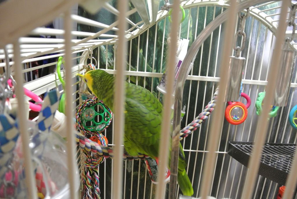 DSC_9543_zpsjgzvvw5b.jpg
