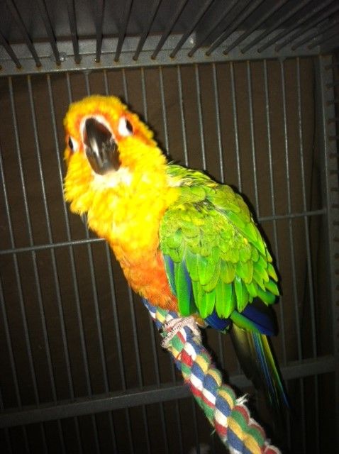 jenday1_zpsf1d9a0f5.jpg
