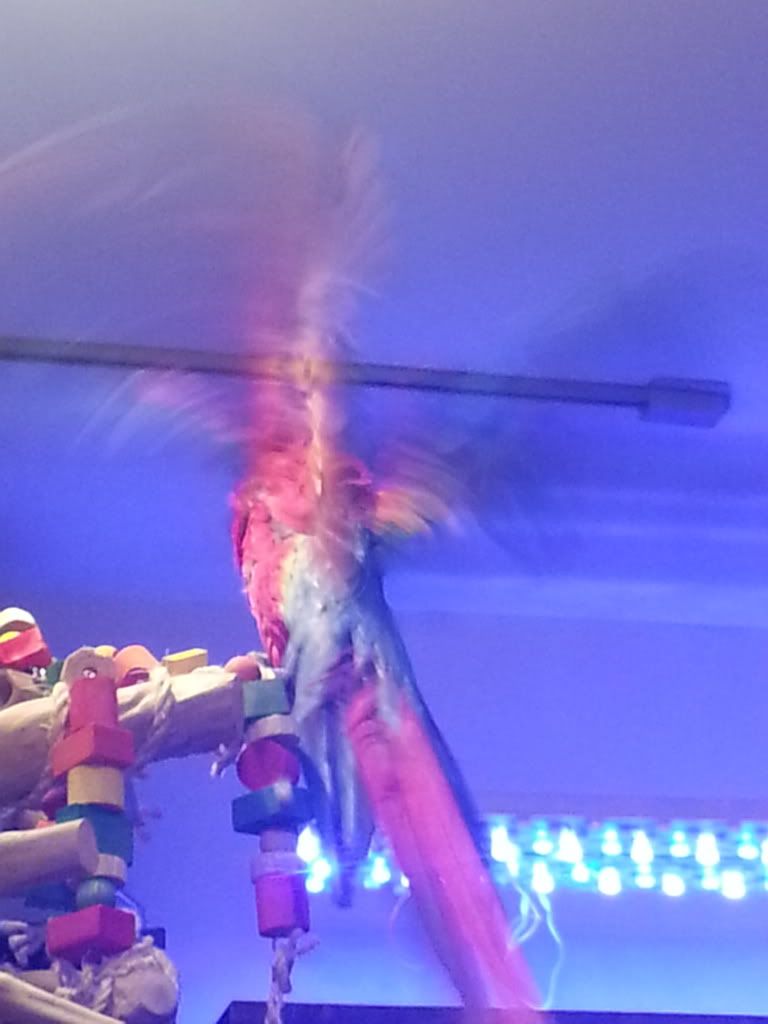 20130213_190411.jpg