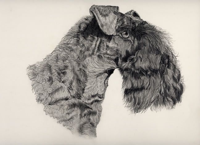 graphitekerryblue2.jpg