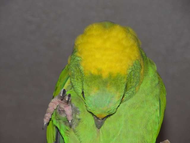 hawksandjake091640x480.jpg