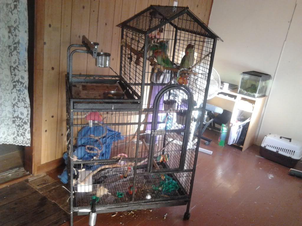 2013-04-04071230_zpse70cb46d.jpg