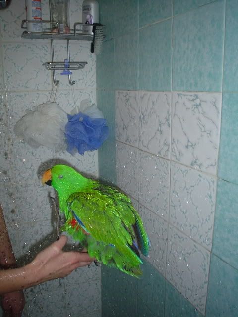 DSC01817.jpg