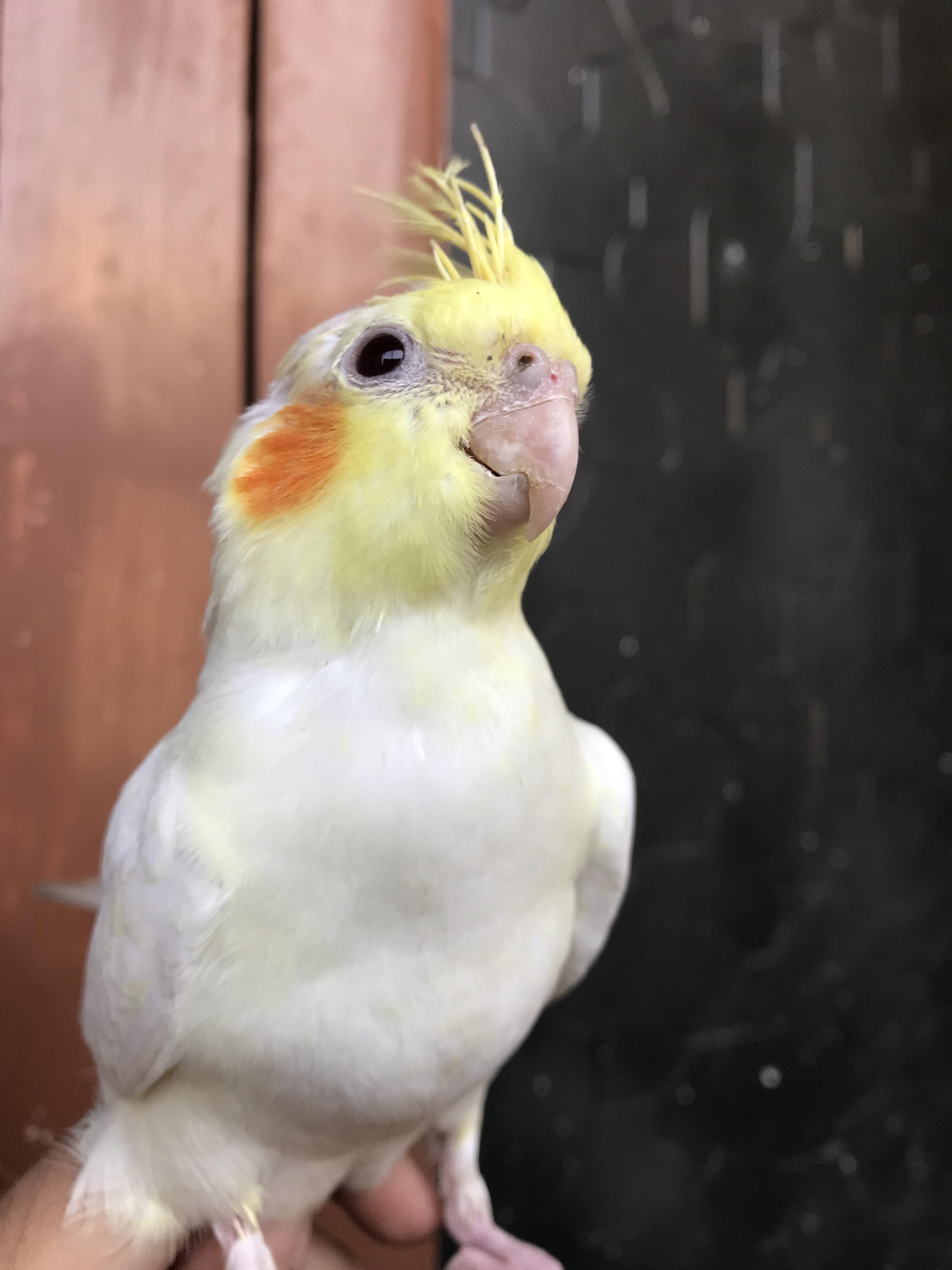 iiUb1T9.jpg