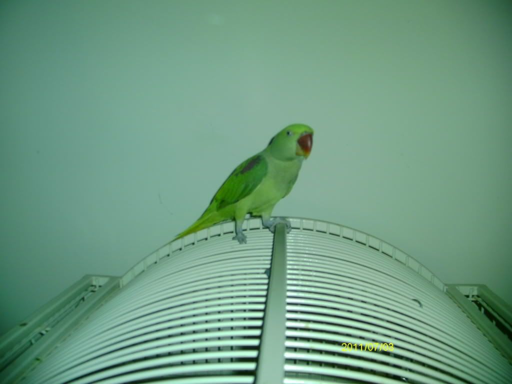 IMAG1381.jpg