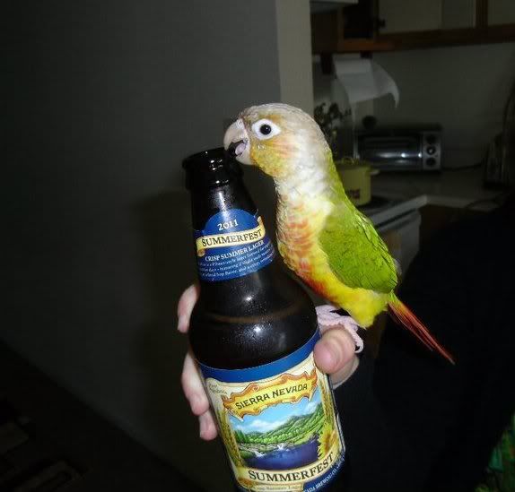 beeeer.jpg