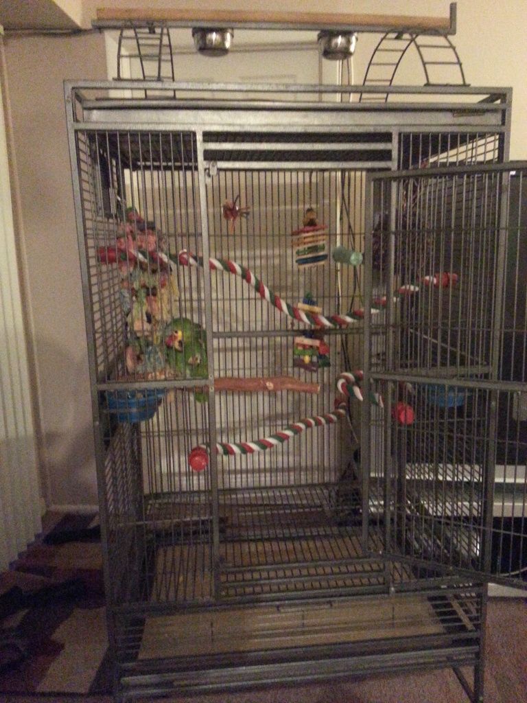 20121215_211637.jpg