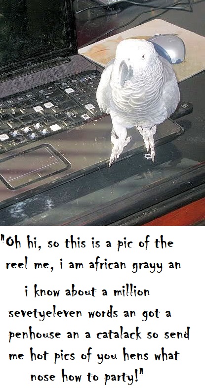 NrombmY.jpg