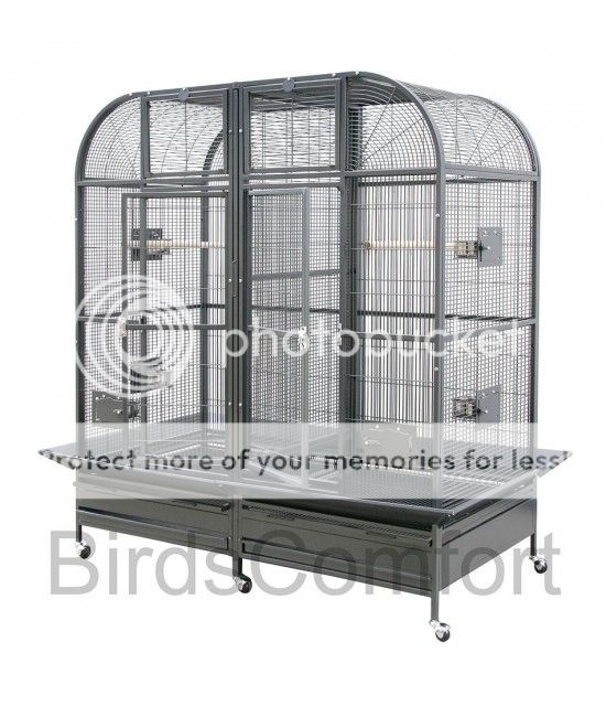 large-cage-for-small-birds-550x650.jpg