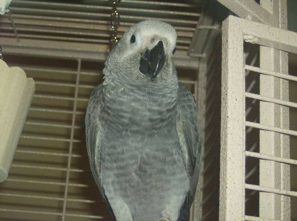 HPIM0989.jpg
