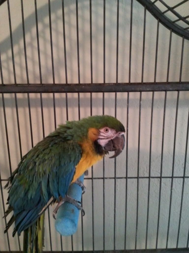2011-08-24185211.jpg