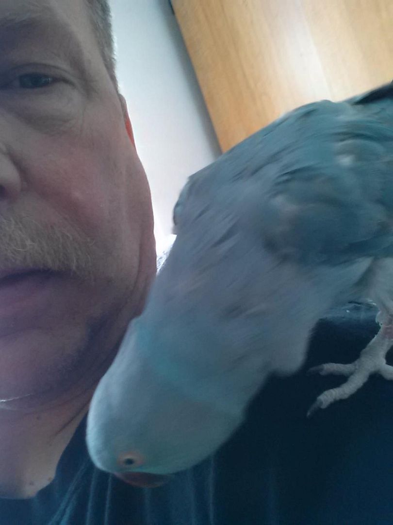 20150131_114945.jpg