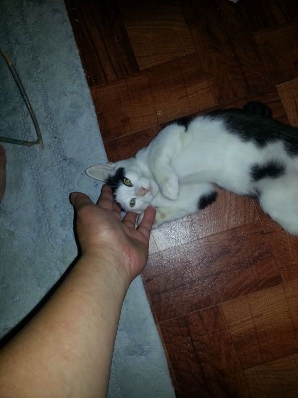 20130907_004143_zpsfdaf2be2.jpg