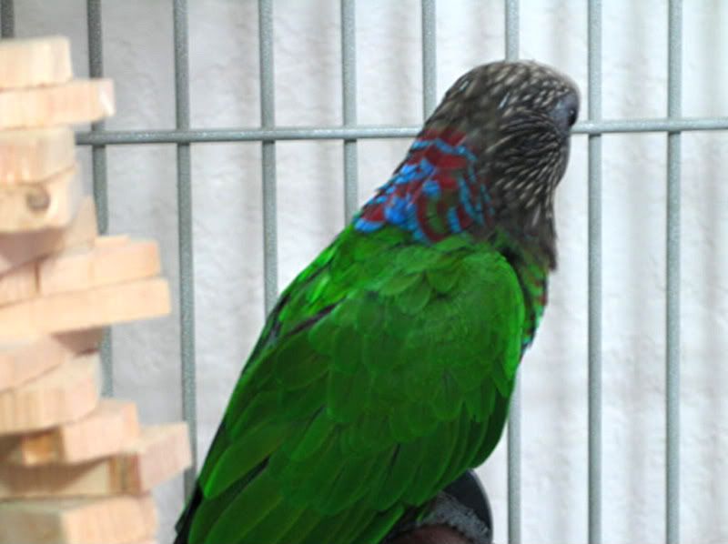 1152011014.jpg